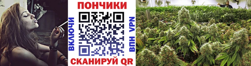 Хочу наркоту Новосокольники Бошки Шишки КОКАИН Гашиш