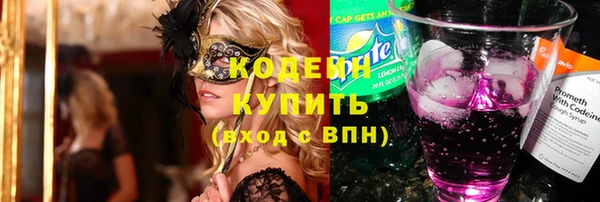 соль ск Верхний Тагил