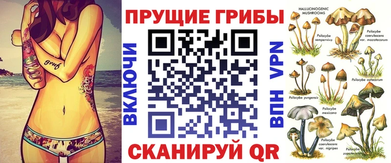 кракен вход  Новосокольники  Галлюциногенные грибы GOLDEN TEACHER 